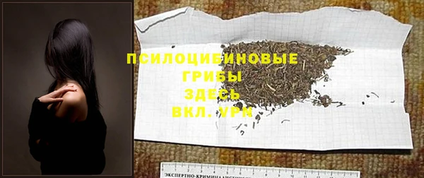 каннабис Беломорск