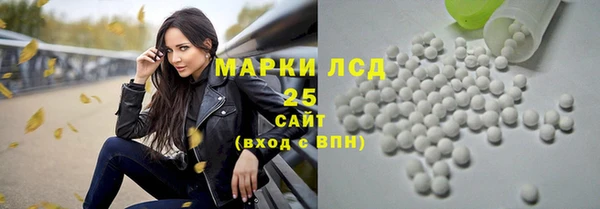ПСИЛОЦИБИНОВЫЕ ГРИБЫ Баксан