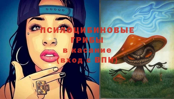 меф Балахна